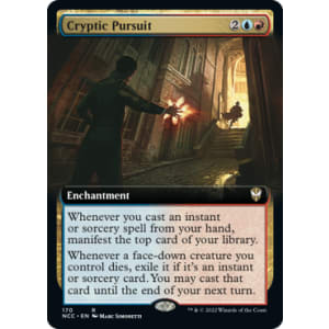 Cryptic Pursuit